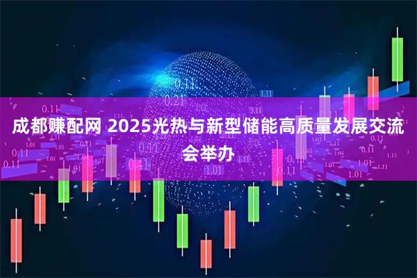 成都赚配网 2025光热与新型储能高质量发展交流会举办