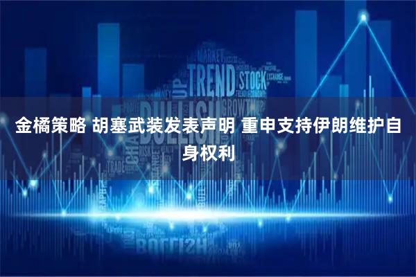 金橘策略 胡塞武装发表声明 重申支持伊朗维护自身权利