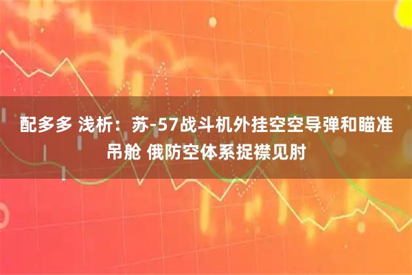 配多多 浅析：苏-57战斗机外挂空空导弹和瞄准吊舱 俄防空体系捉襟见肘