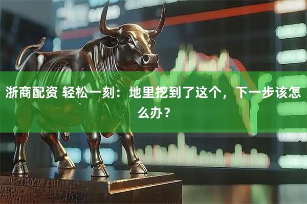 浙商配资 轻松一刻：地里挖到了这个，下一步该怎么办？