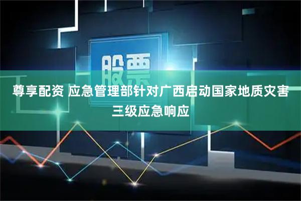 尊享配资 应急管理部针对广西启动国家地质灾害三级应急响应